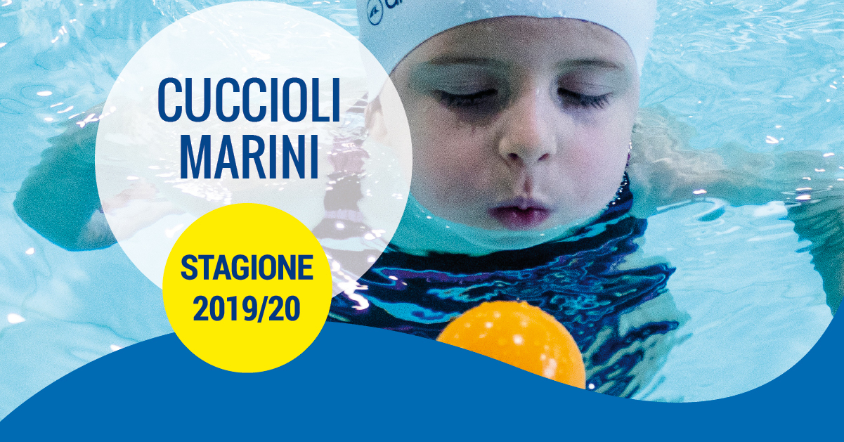 cuccioli marini