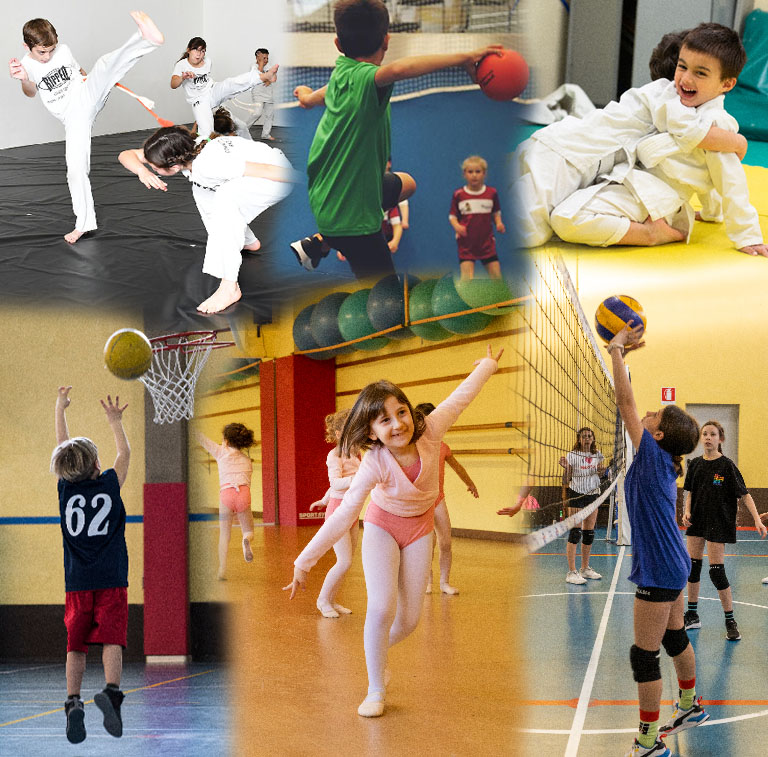 palestra camp