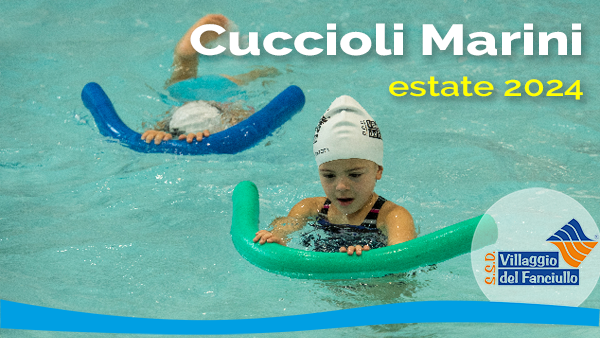 cuccioli marini ESTATE 2024