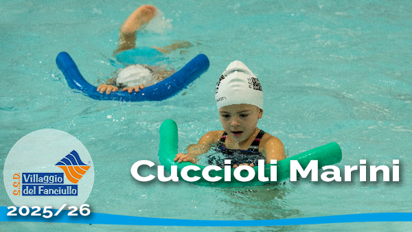 cuccioli marini 2025-26